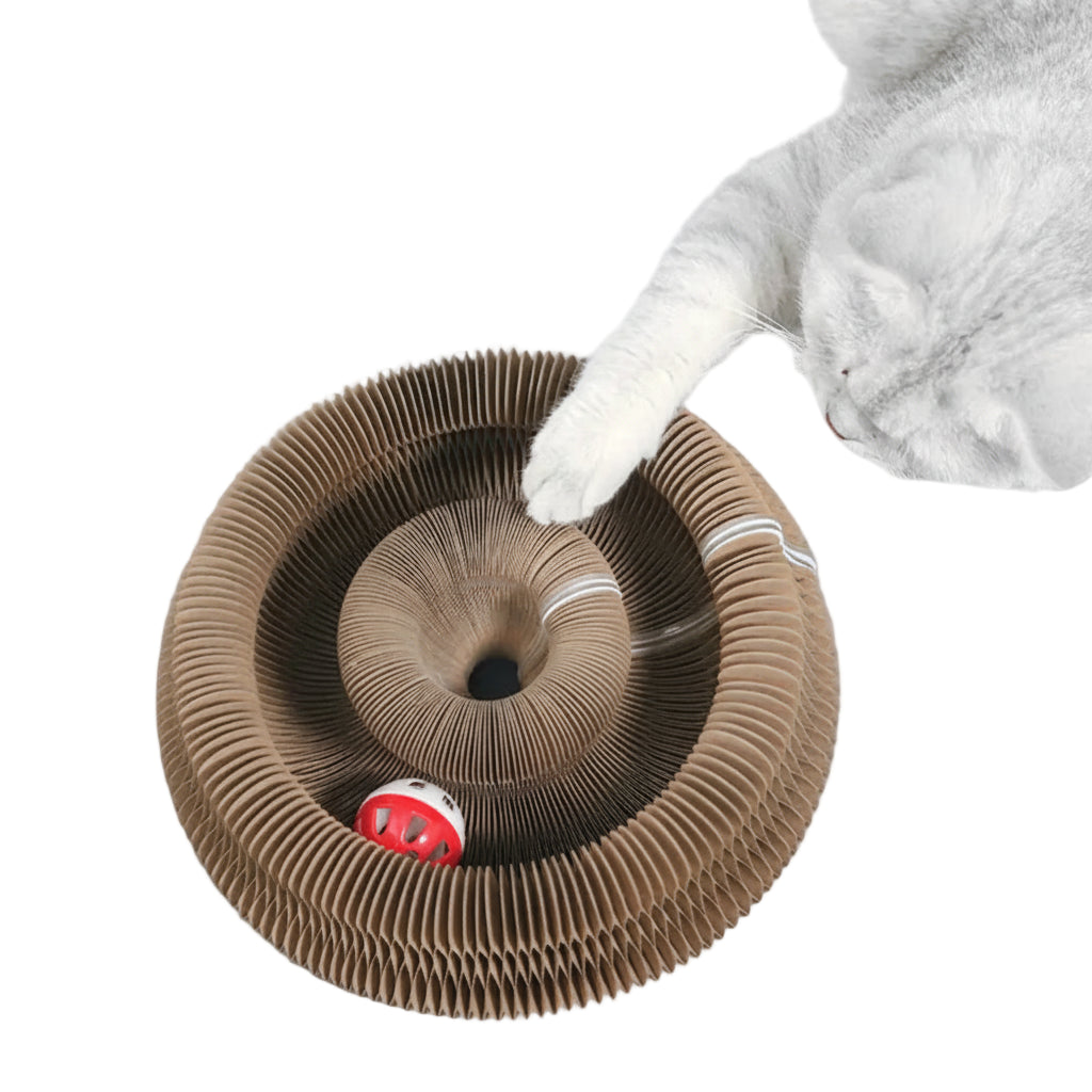 Durable cat scratcher for kittens and adult cats to sharpen claws