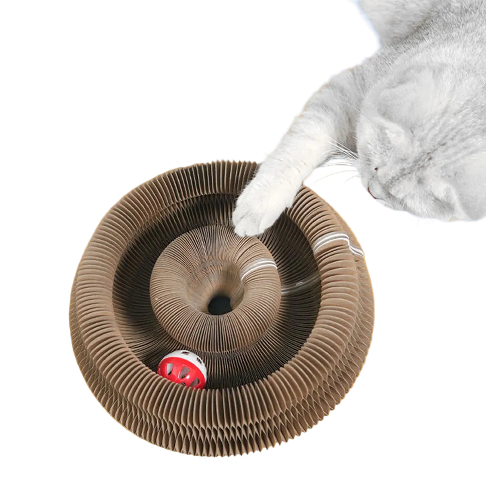 Cat happily  playing with a cat scratcher board 