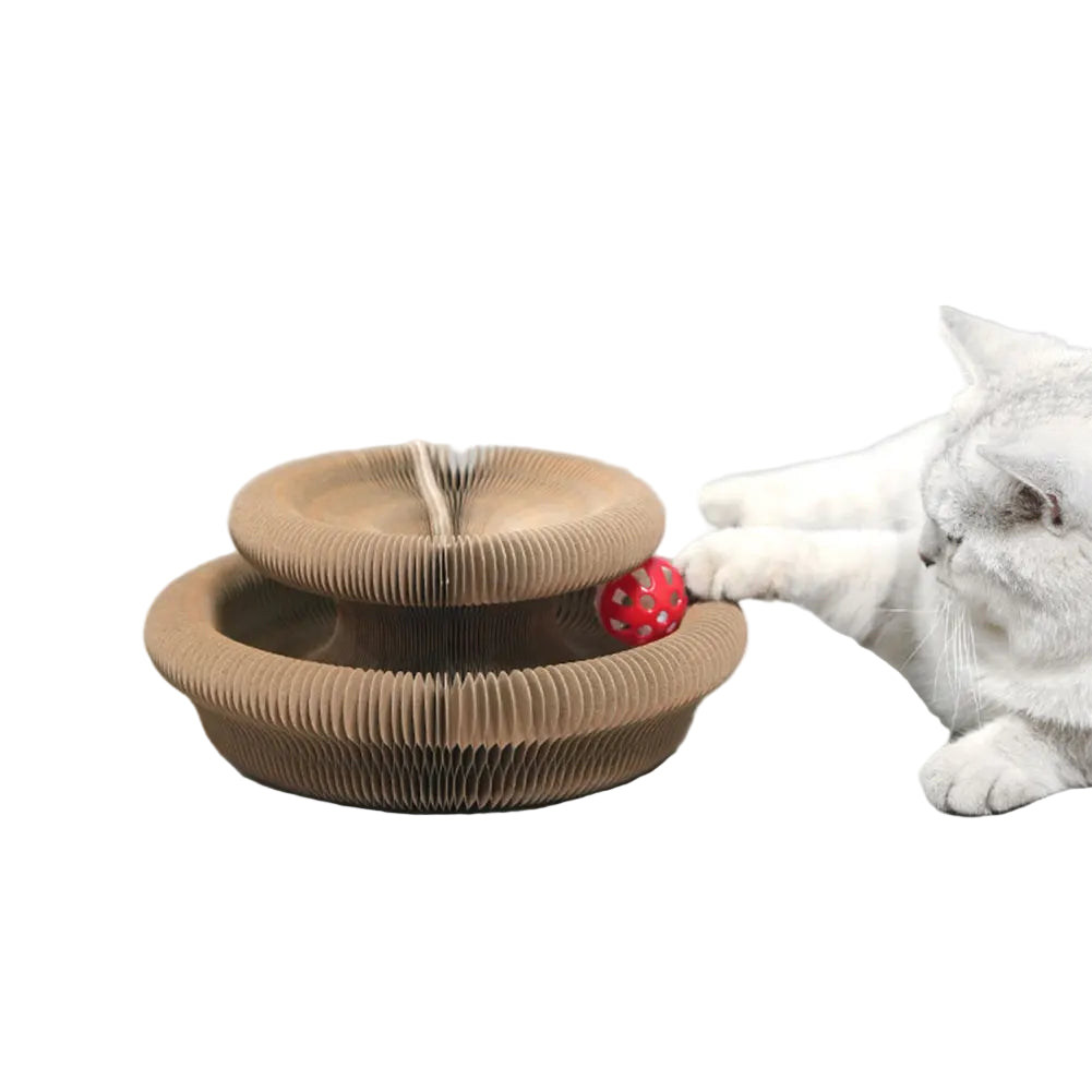 cat playing with cat scratching toy