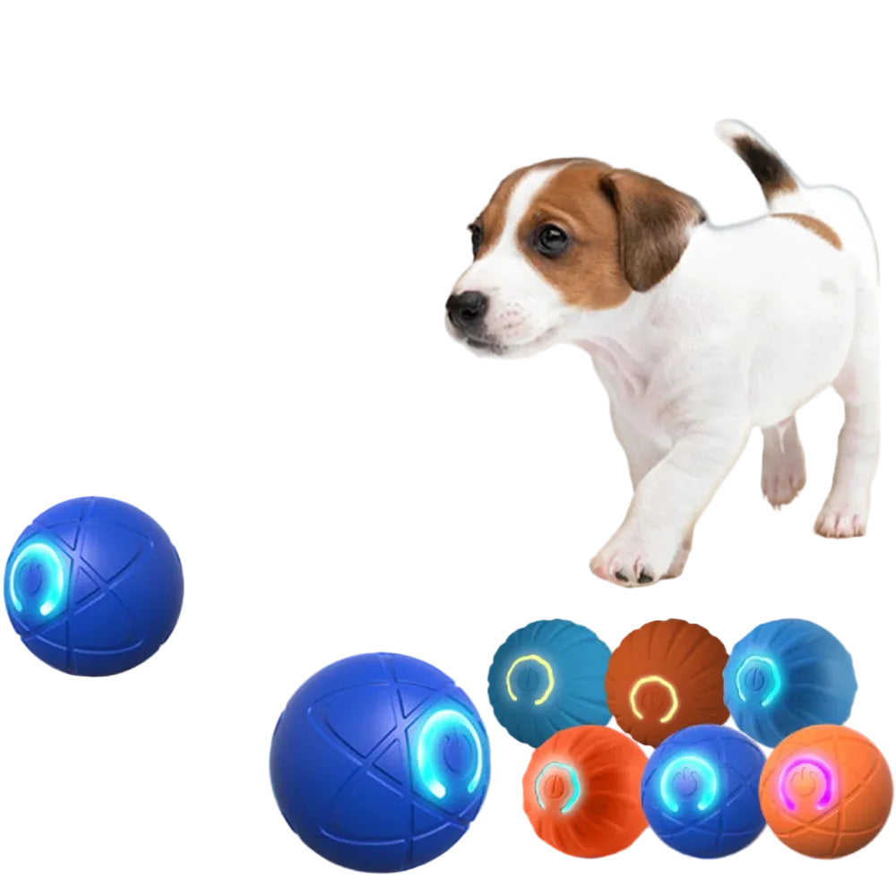 Electric cat ball with USB rechargeability feature, shown with a dog on a wooden floor.