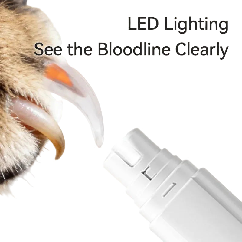 LED lighting device being used on a paw with text 'LED Lighting See the Bloodline Clearly' on a beige background.

