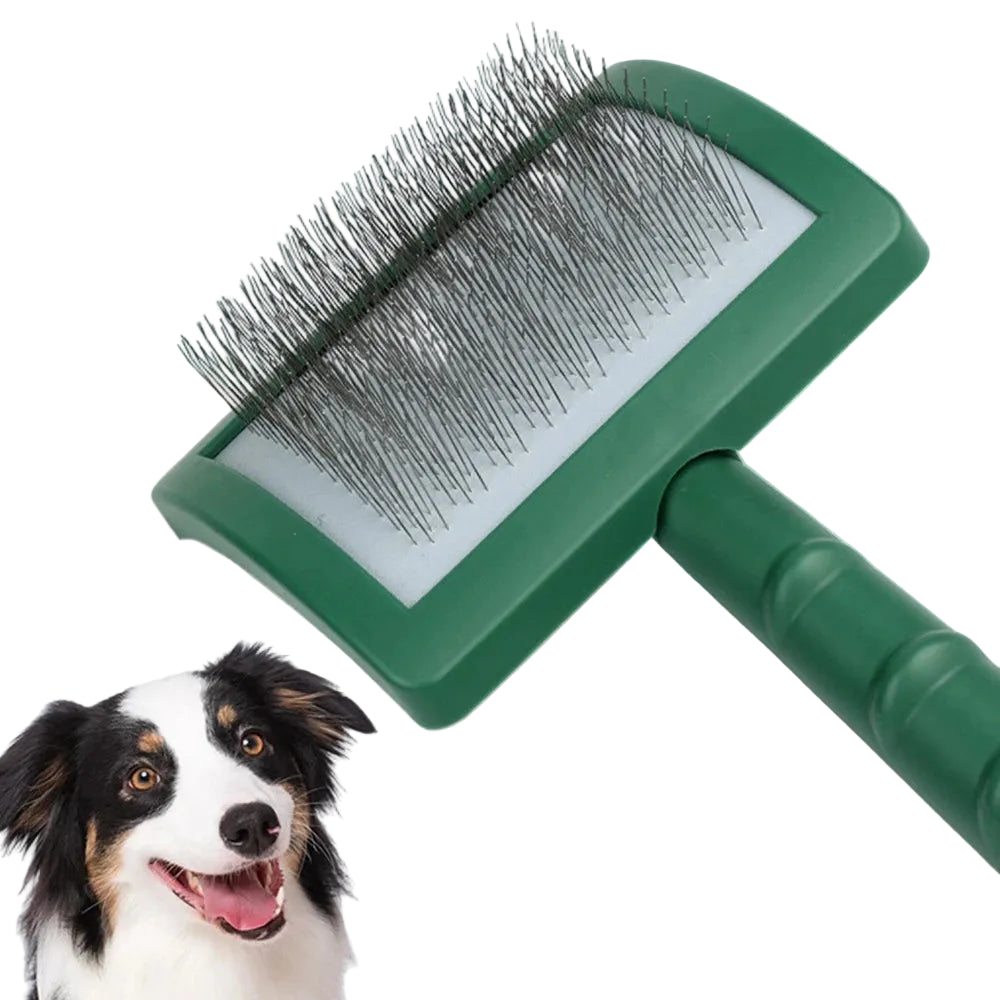 Pet grooming brush with a dog on a colourful background

