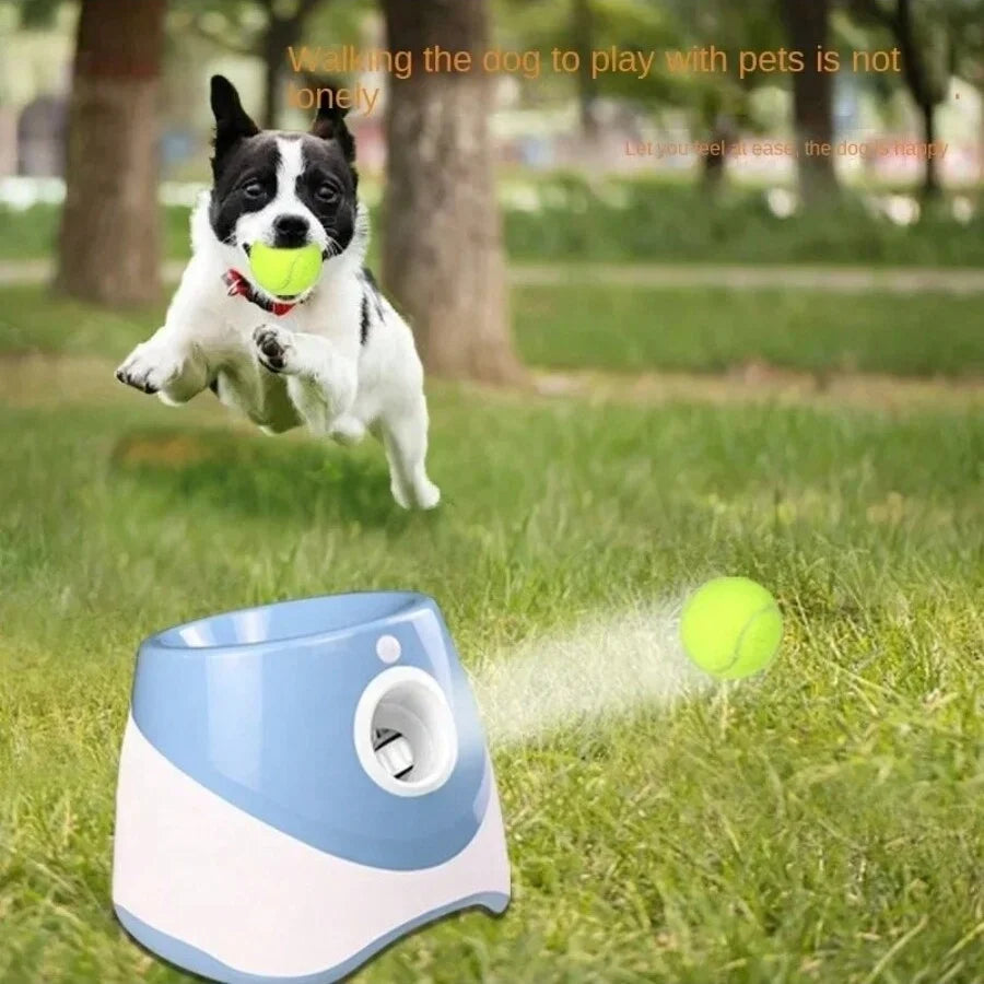 Dog playing with a ball near a blue and white device on grass

