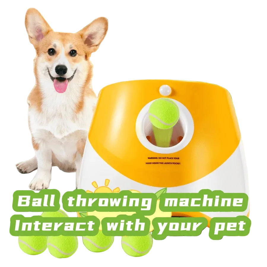 Dog with a ball-throwing machine on grass

