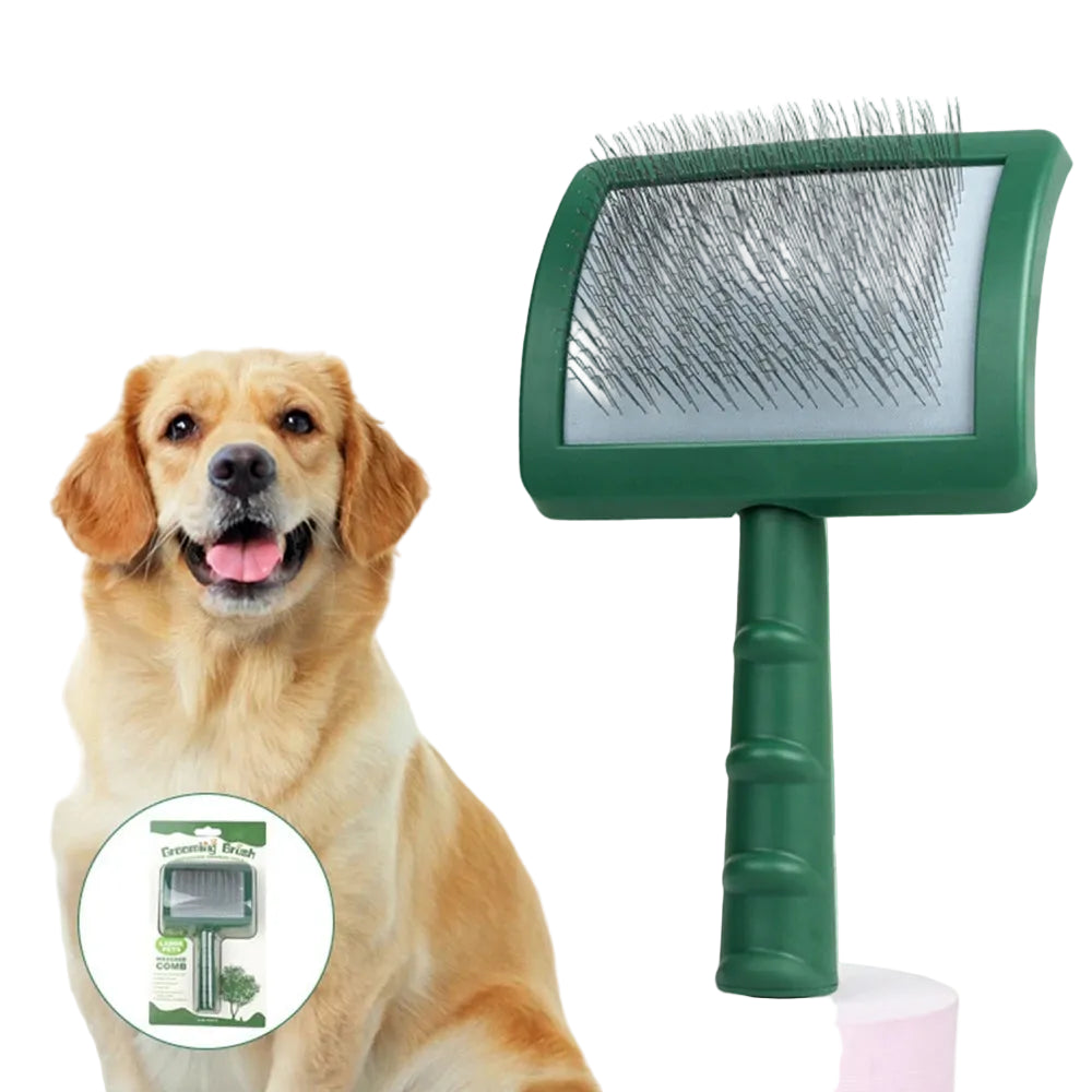 Pet grooming brush with a dog on a white background