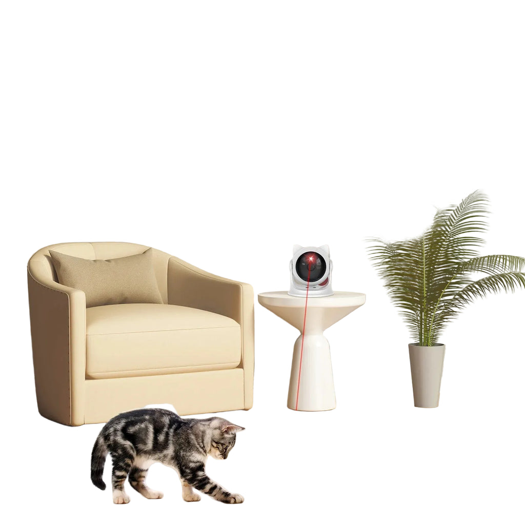 Cat playing with a laser pointer on a wooden floor with a beige chair and plant in the background.
